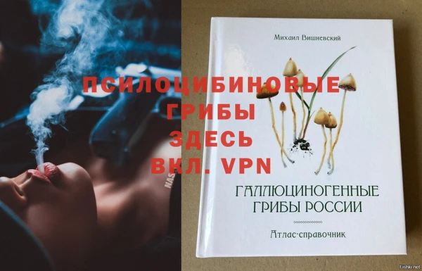 гашик Абдулино
