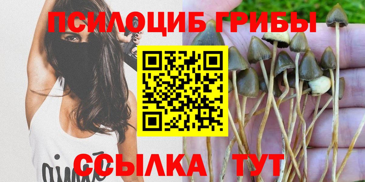 Галлюциногенные грибы мухоморы Переславль-Залесский