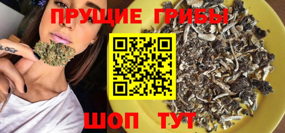 Переславль-Залесский  Галлюциногенные грибы Psilocybe  Вход с VPN 